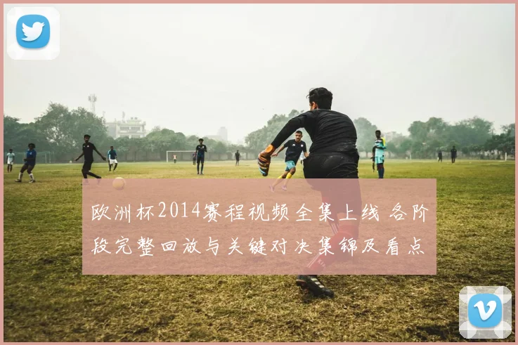 欧洲杯2014赛程视频全集上线 各阶段完整回放与关键对决集锦及看点