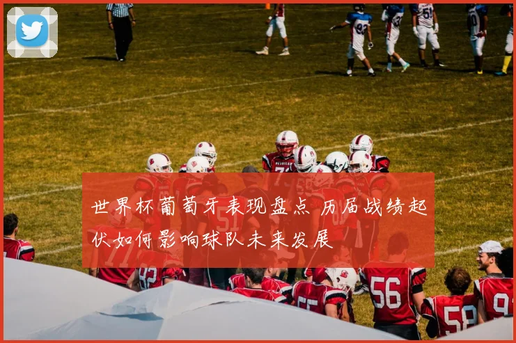 世界杯葡萄牙表现盘点 历届战绩起伏如何影响球队未来发展