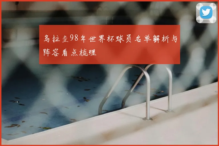 乌拉圭98年世界杯球员名单解析与阵容看点梳理