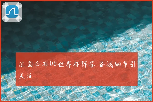 法国公布06世界杯阵容 备战细节引关注